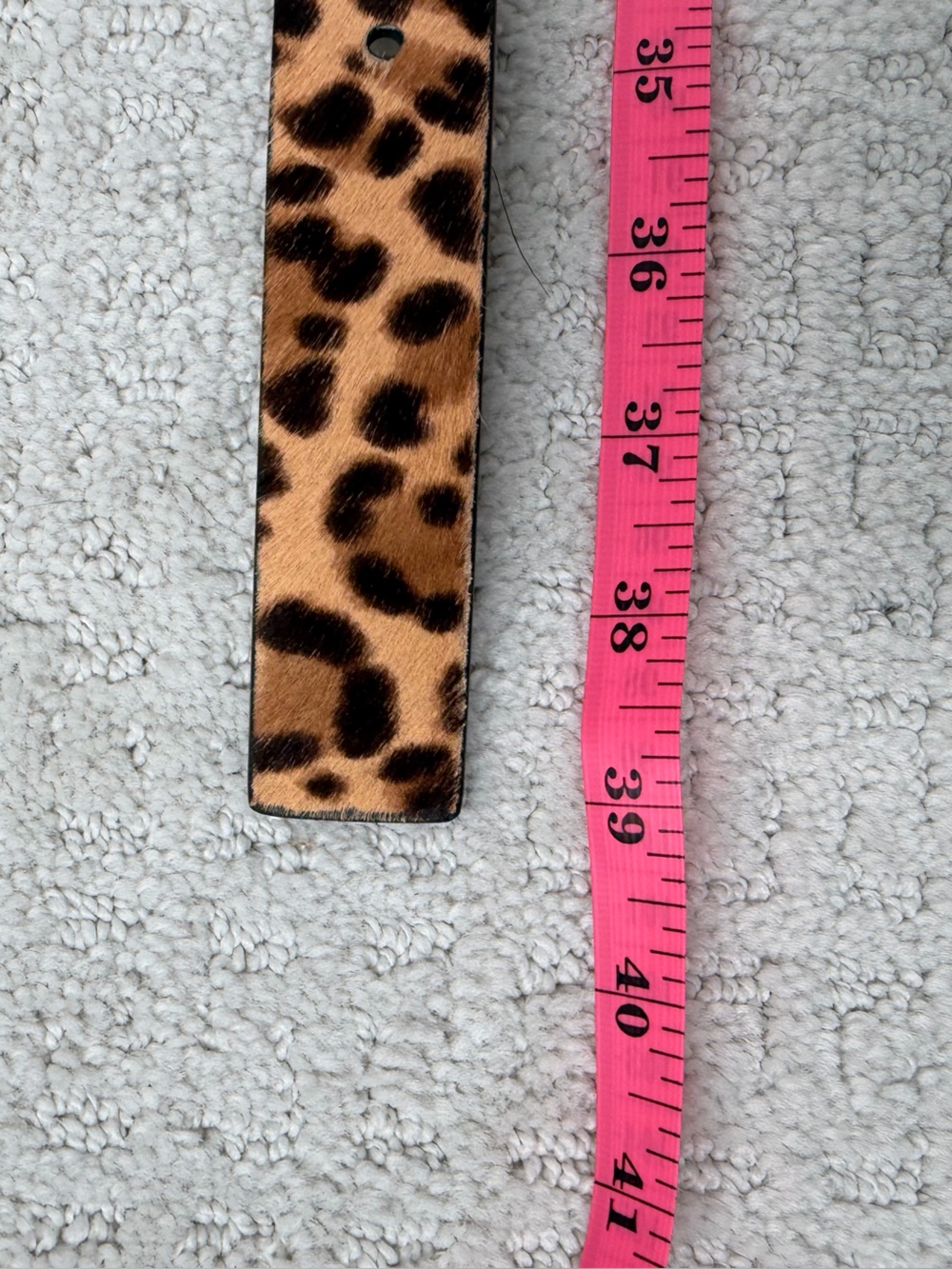 Express Leopard Haircalf Belt with Gold Buckle - Picture 12 of 12